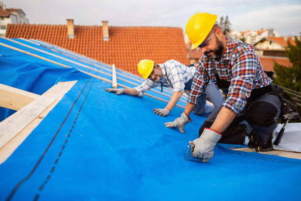 Best Roof Moss and Algae Removal  in Bowling Green, OH